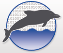Dolphin Bytes Website